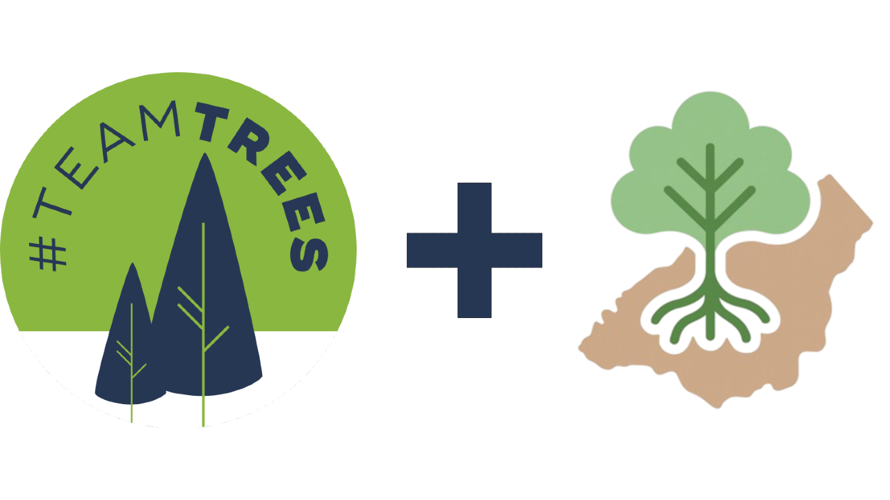 Team Trees Donation Event